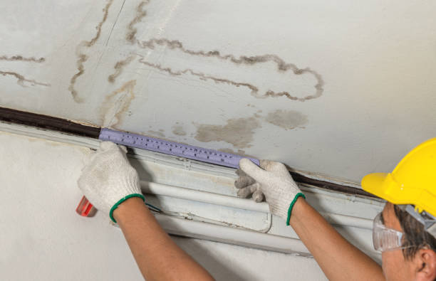 Reliable Sewage Cleanup contractor in Chesterfield, MA by Water Damage Irwin